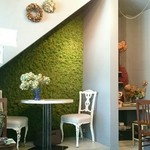 ミスエヴァンス - 