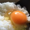 食堂かめっち。
