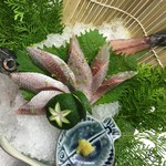 居酒屋　風月 - 