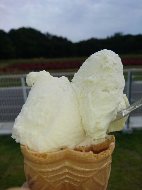 ジェラート工房 - 磐城常葉（ジェラート・アイスクリーム）の写真