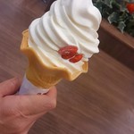 Nangokushukanampaozu - あんにんソフトクリーム
