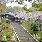 寺cafe＆遍路グッズ　梧桐庵 - この雨で桜が散るかなと思いました。