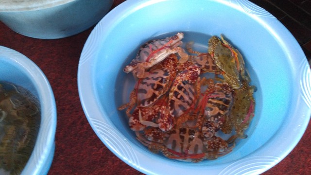 カブトガニ喰ったどぉ ー ノ By 自称独り者グルメ Baithotourist ハノイ その他 食べログ