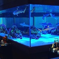 鉄板DINING集 栄店 - 