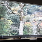 アルカナイズ - 目の前の木々を見ながら朝食を