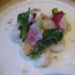 マンヨウケン スタイル - フレッシュホワイトアスパラガスと帆立貝のサラダ、ラヴィゴットソースのアップ(2016.03)