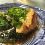 Oct2016　ネギポケット