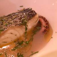 SALONE 2007 - 