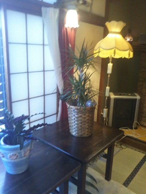 地上 - 富谷町その他（喫茶店）の写真