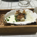 クイントカント - 