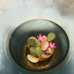 クイントカント - 