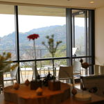 Benesse House Museum Cafe