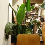 キッチン サクラ - 内観’厨房）