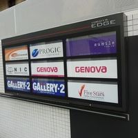 スミレオオサカ - 