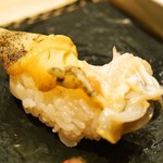 Sushi Sakae - ツブ貝