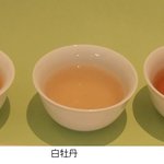 茶語 TEA SALON 新宿髙島屋店 - 
