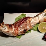 のびる - 釧路の大いわし