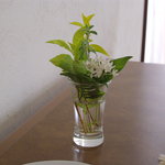 Restaurant B・B・R - テーブルフラワー