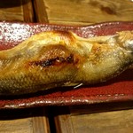 居酒屋　ちょーちょ - 