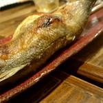 居酒屋　ちょーちょ - 