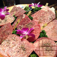 肉匠 コギヤ 宴庭  - 