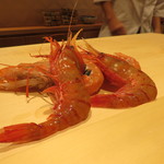 銀座 しのはら - 牡丹海老と赤座海老1