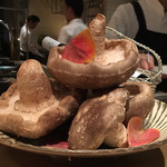 SUGALABO - 2016/9_椎茸の王様