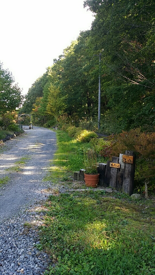 そば処 江川 name=