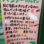 カメレオンカフェ マダガスカル - 201610パンサーカメレオンA