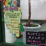 カメレオンカフェ マダガスカル - 201610スパイニーカメレオン