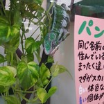 カメレオンカフェ マダガスカル - 201610パンサーカメレオンA