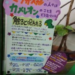 カメレオンカフェ マダガスカル - 201610パンサーカメレオン