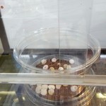 カメレオンカフェ マダガスカル - 201610ソメワケササクレヤモリ・卵