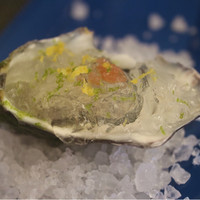 Wattle Tokyo - 