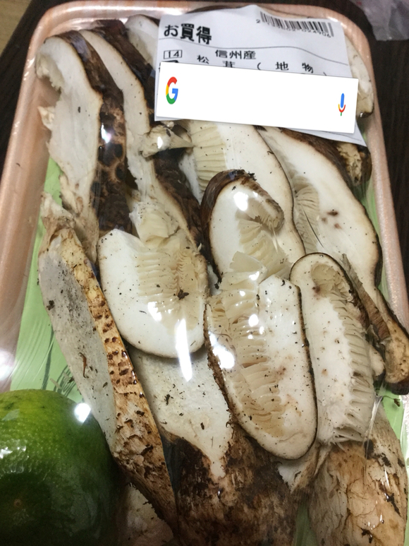 ツルヤ 小諸東店 name=