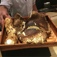 ぎんざ 一二岐 - 香り重視で信州のひらいた巨大松茸で