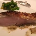 カンテサンス - 