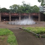 珈琲亭 ルアン - な、なんだこれは(ﾟ- ﾟ )