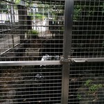 珈琲亭 ルアン - 水。