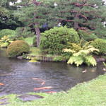 上杉伯爵邸 - 鯉もいる