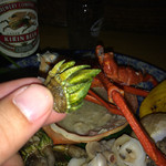 松江の味 郷土料理 出雲 川京 - 