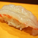 鮨処 竜敏 - ボタン海老