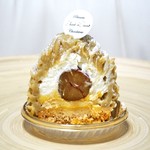 シャンドワゾー - '16.10モンブラン断面