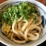 Kanokawa Seimen - ぶっかけうどん冷並280円（税込）