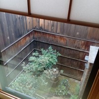 山玄茶 - 