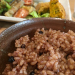 まめでたっしゃ - 長岡式玄米ごはん もっちもち
