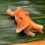 やまざき - 赤貝