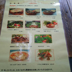 サドルバック - 