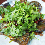 ソンポーン - カイヨーマー ガパオ