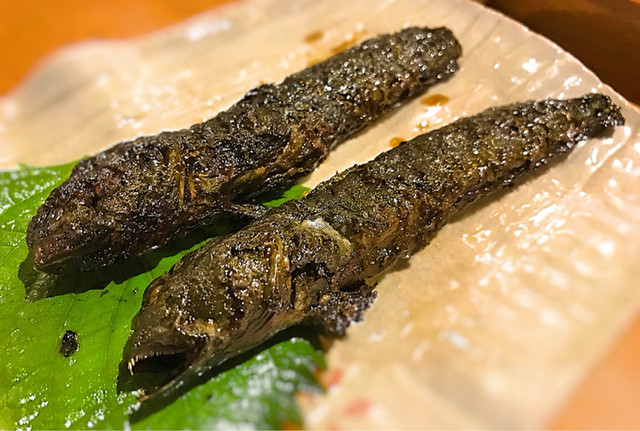 ムツゴロウさん 頂きます By Y Rec 恵水産 佐賀 魚介料理 海鮮料理 食べログ